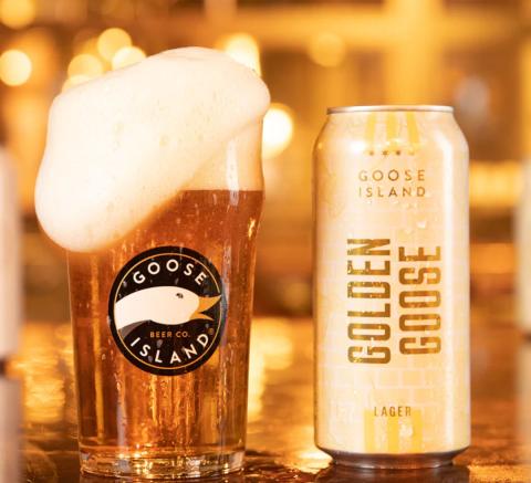 Golden goose lager 1