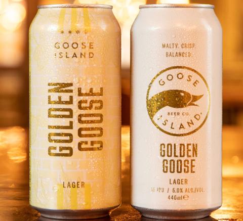 Golden goose lager 3