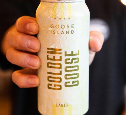 Golden goose lager 4